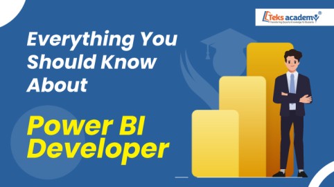 Everything You Should Know About Power BI Developer