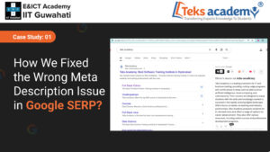 How we fixed the wrong meta description issue in google serp.